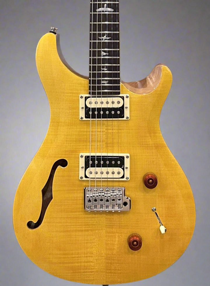 SE Custom 22 Semi-Hollow '22