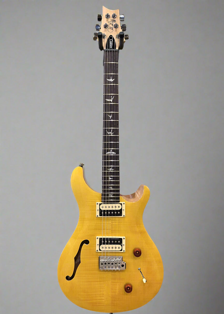 SE Custom 22 Semi-Hollow '22