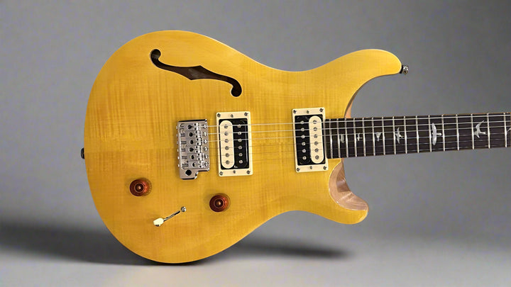 SE Custom 22 Semi-Hollow '22