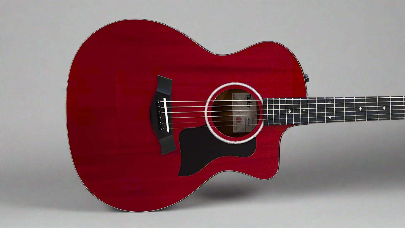 USED 224CE Plus Special Edition '25 – Dave's Guitar Shop