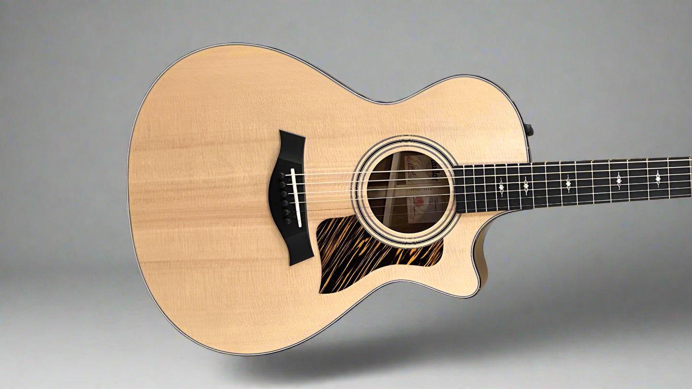 312CE – Dave's Guitar Shop