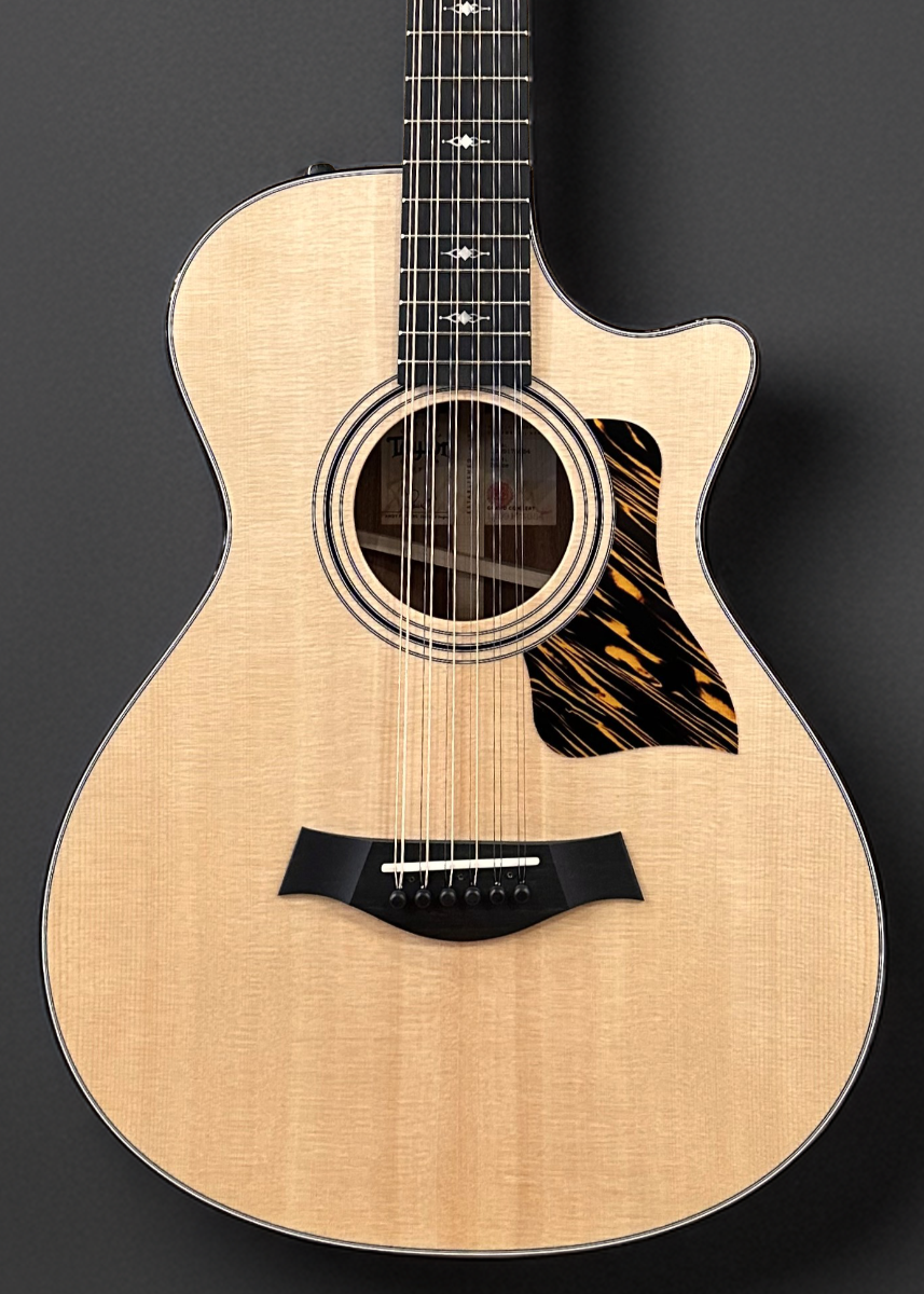 Taylor 352ce 12弦ギター Taylor 352ce 12-Fret 12-String Grand Concert Acoustic