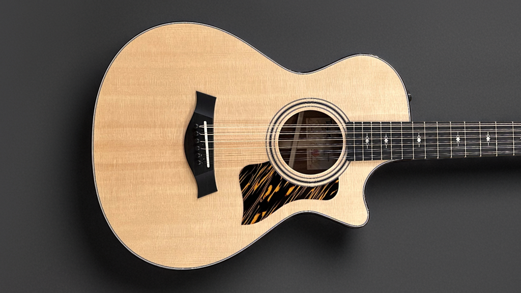 352CE 12 String – Dave's Guitar Shop
