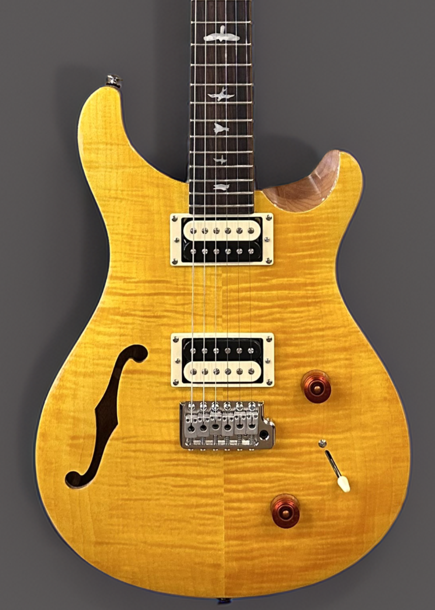 SE Custom 22 Semi-Hollow '22