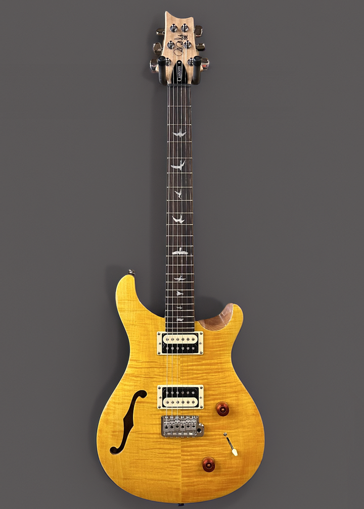 SE Custom 22 Semi-Hollow '22