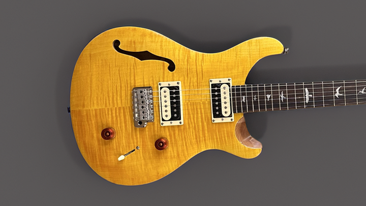SE Custom 22 Semi-Hollow '22