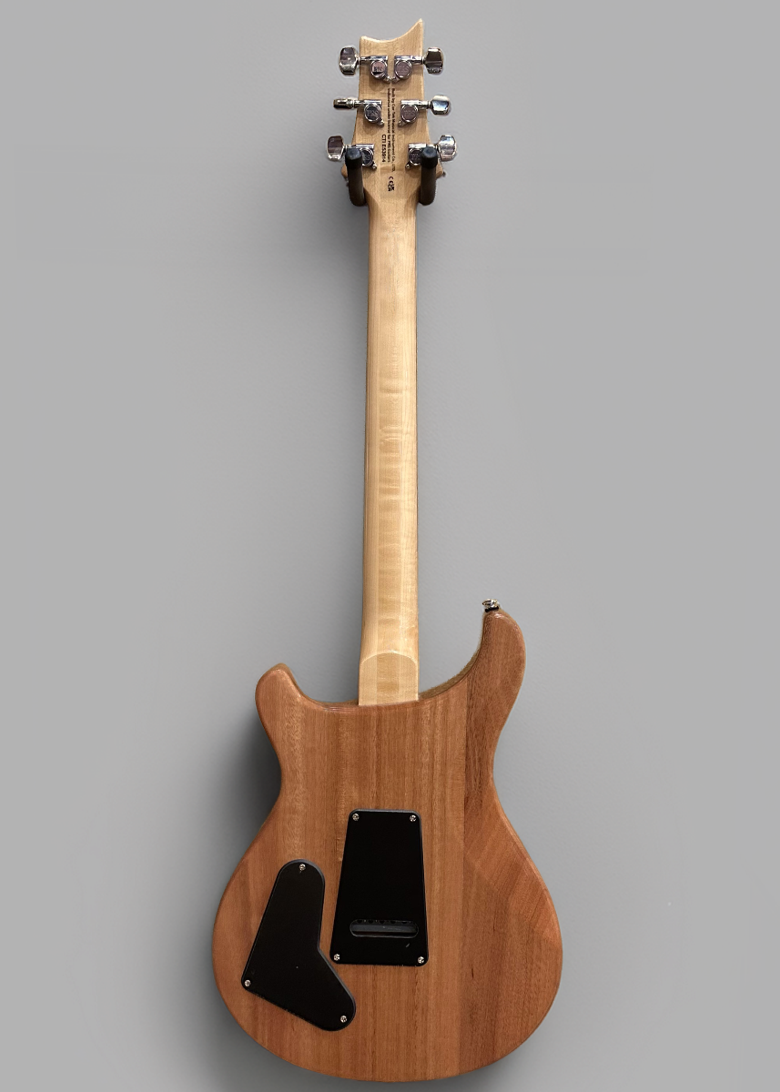 SE Custom 22 Semi-Hollow '22