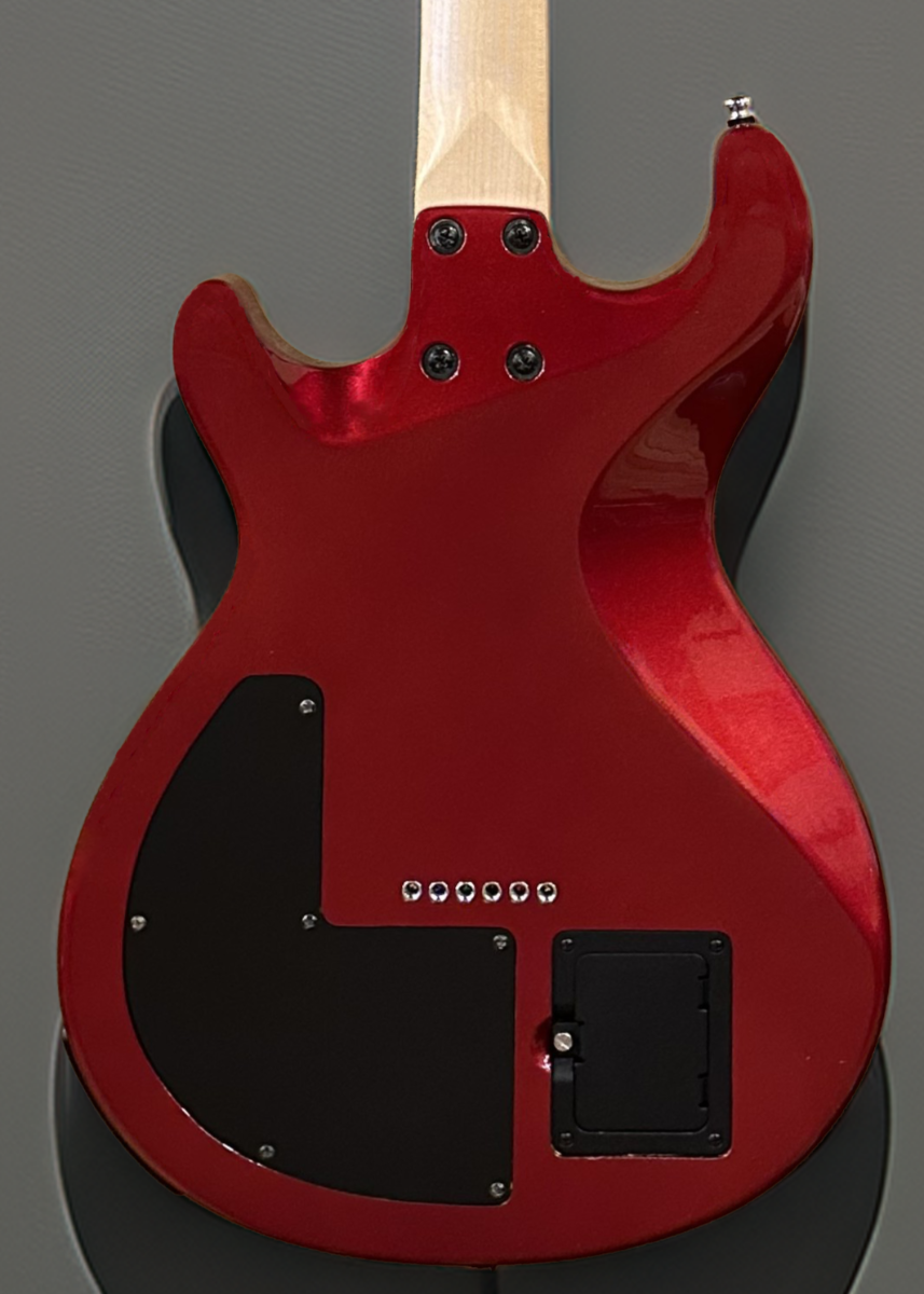 Variax 300, Recent