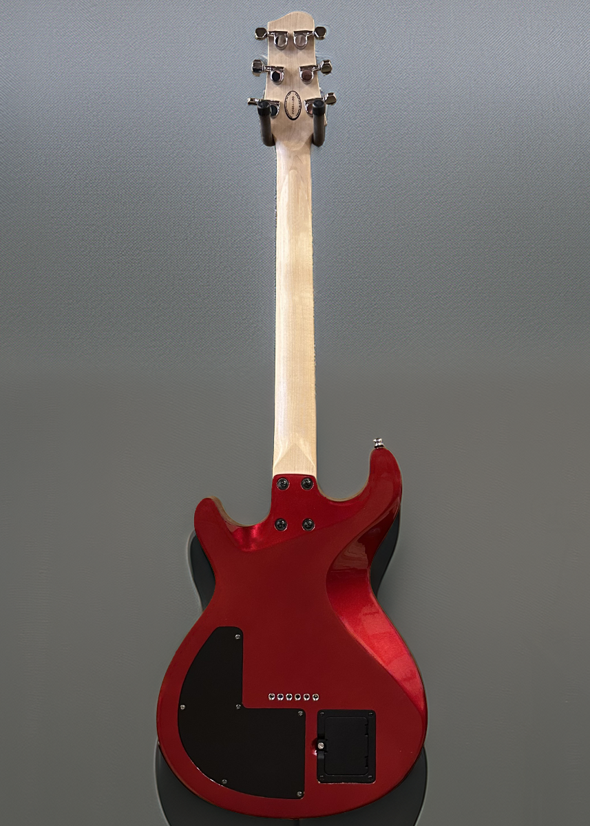 Variax 300, Recent