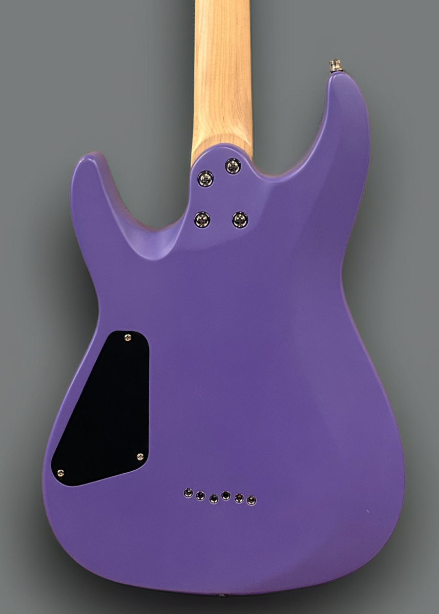 C-6 Deluxe '22