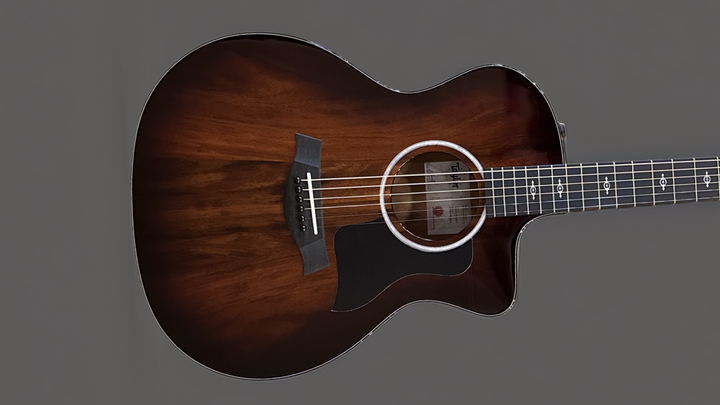 224CE-K DLX, '25