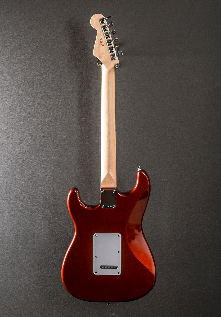 Standard Stratocaster -  Candy Cola w/Maple
