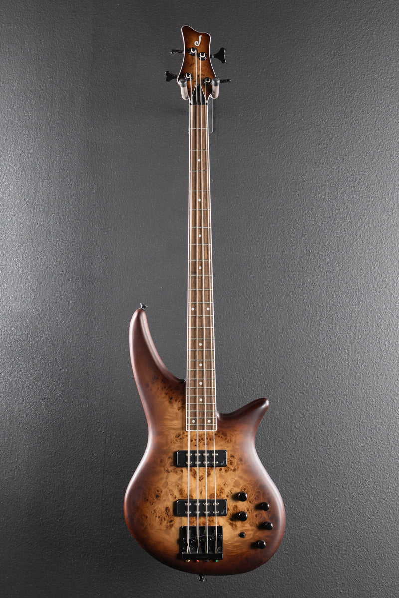 X Series Spectra Bass SBXP IV &