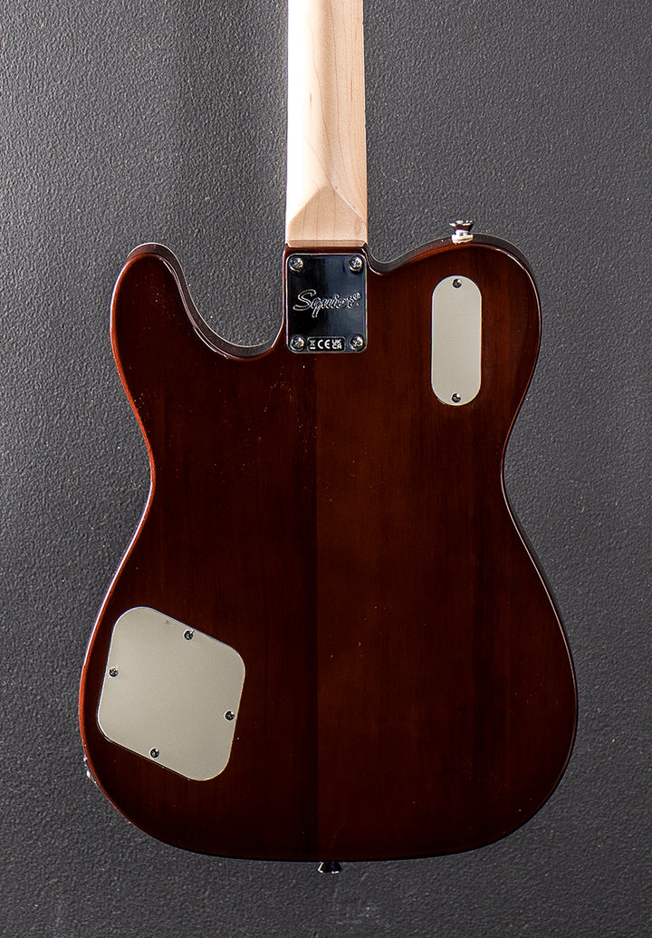 Paranormal Troublemaker Telecaster Deluxe w/Bigsby - Honey Sunburst