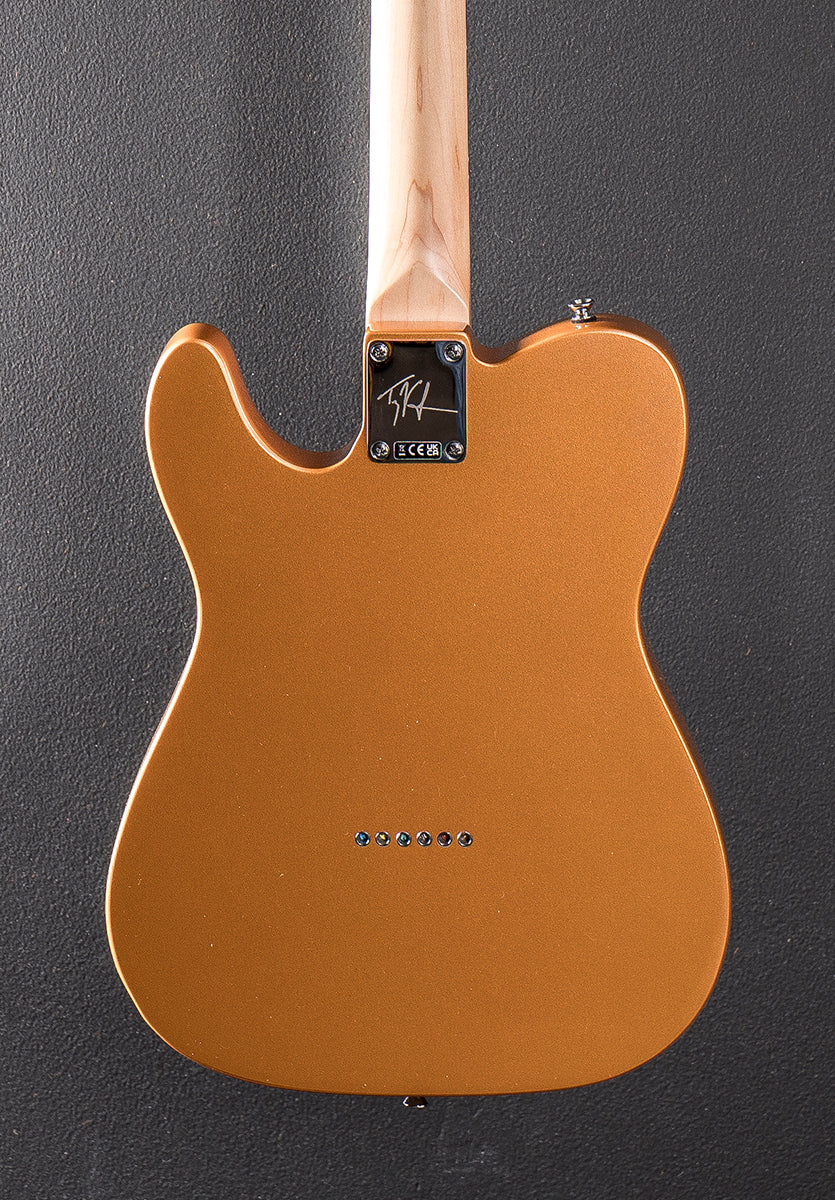 Paranormal Troy Van Leeuwen Telecaster XII - Copper Age