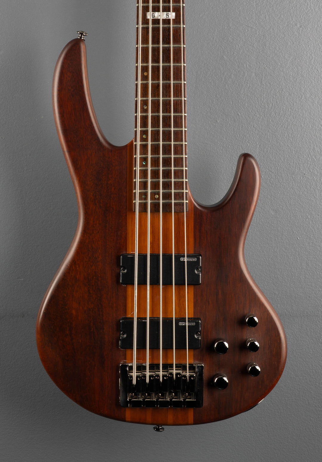 D-5 5-String Bass, &