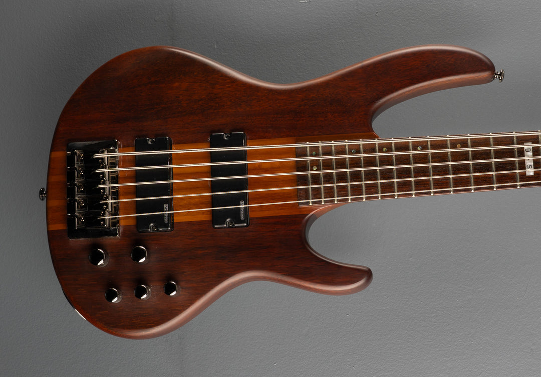 D-5 5-String Bass, &