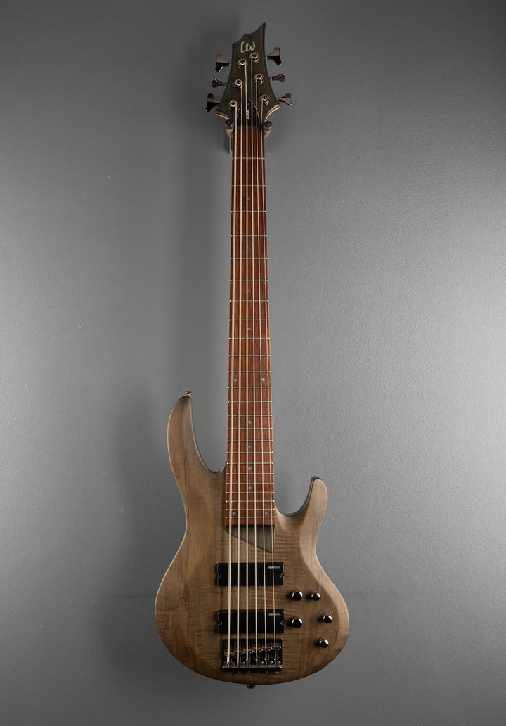 B206 6-String Bass, &
