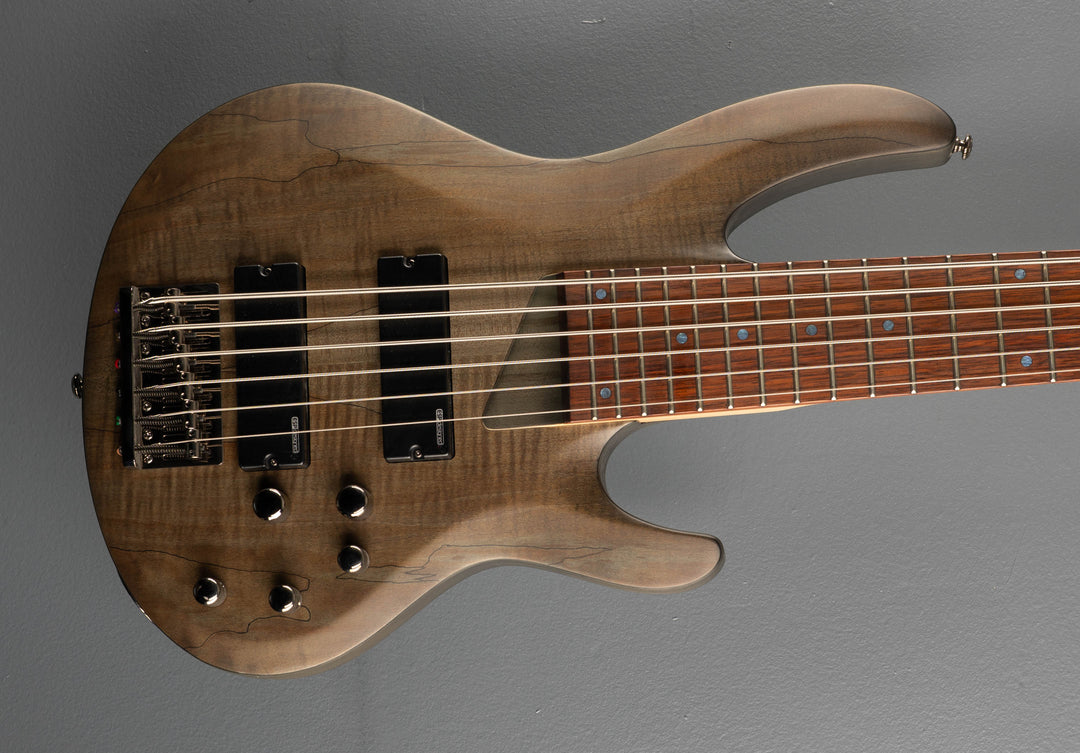B206 6-String Bass, &
