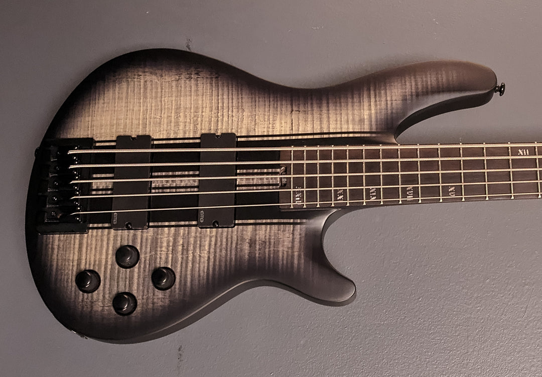 Schecter Basses – Dave's Guitar Shop