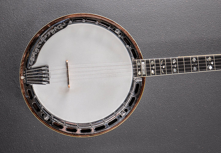 Artist 5 String Banjo &