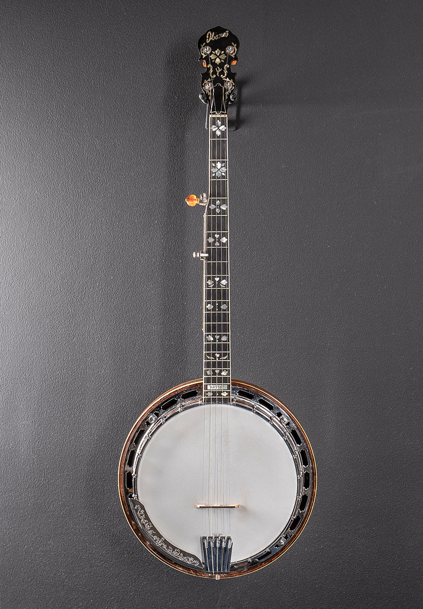 Artist 5 String Banjo &