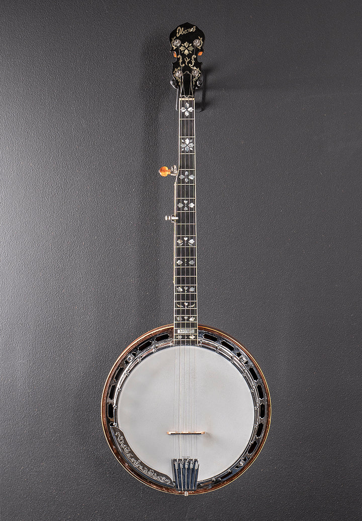 Artist 5 String Banjo &