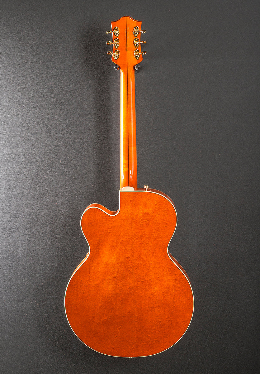 G6120 Eddie Cochran Signature Hollow Body w/Bigsby