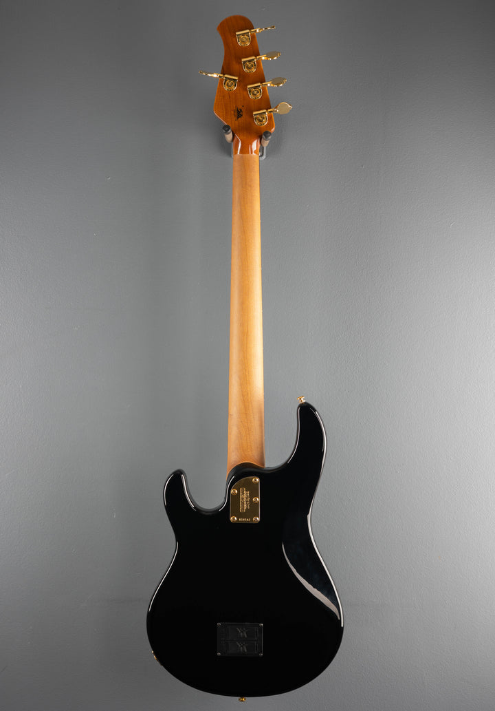 StingRay Special 5 HH Bass, &