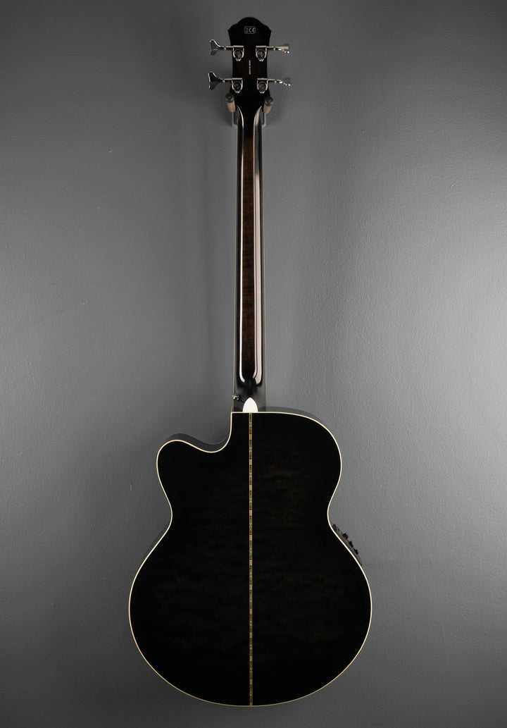 Dragonfly 4 Fretless  Bass - Smoke Burst