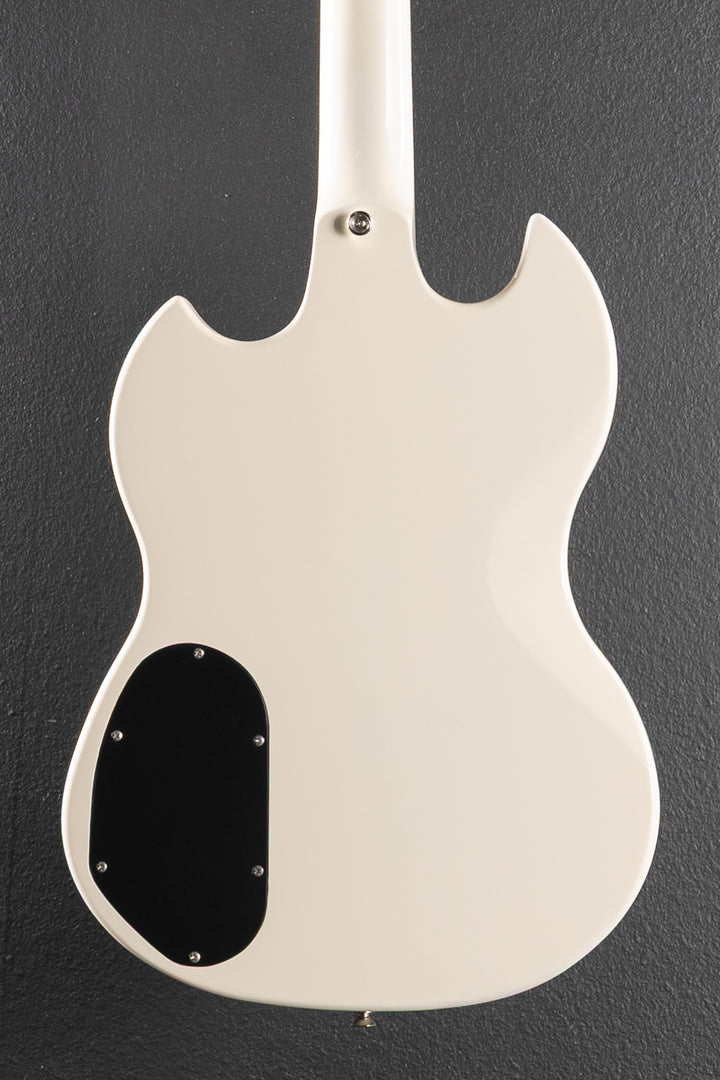 S-100 Polara &