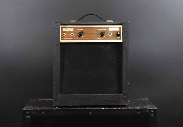 Model 1 - 1x10" Combo, 60s