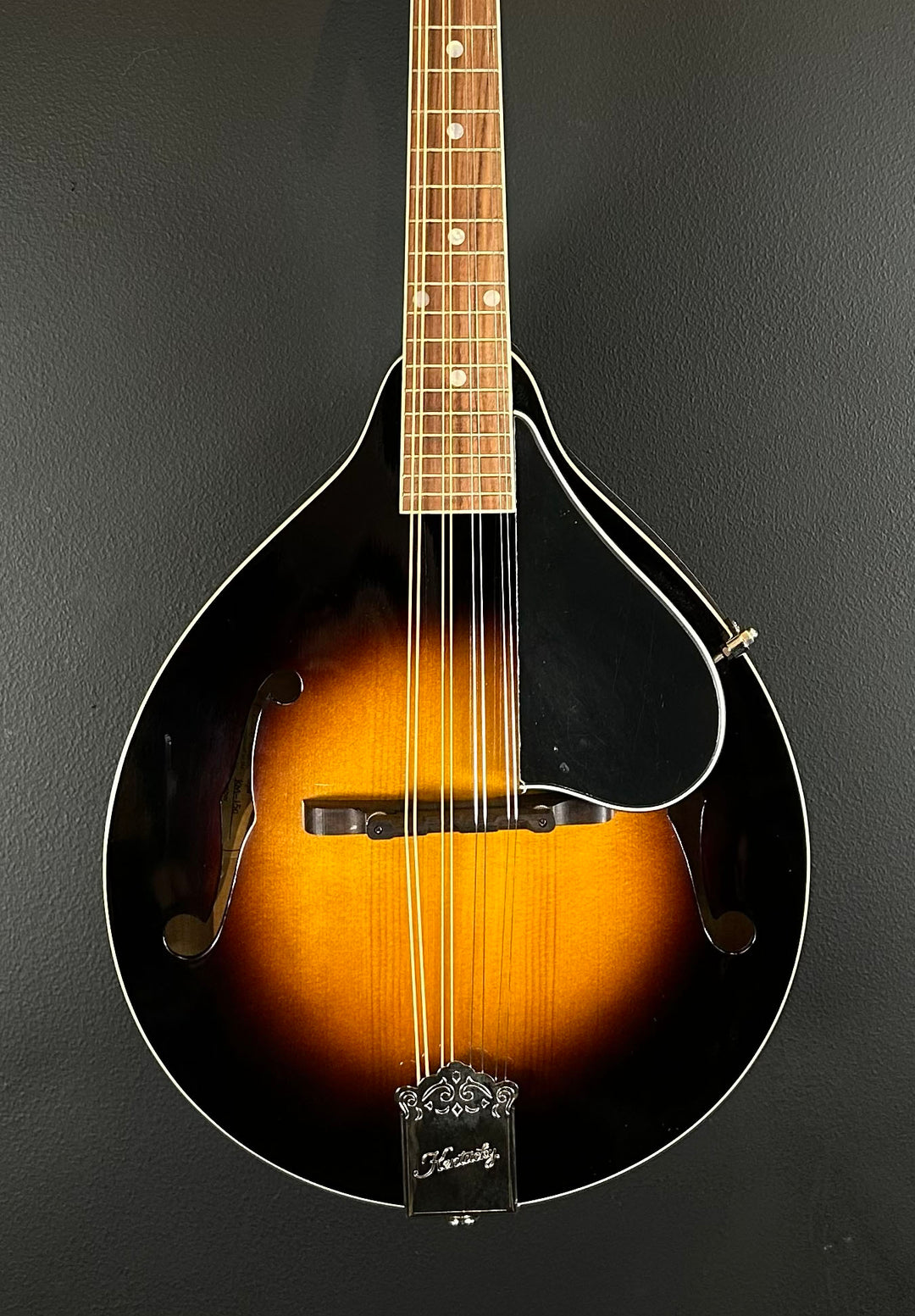 KM-150 Mandolin, Recent