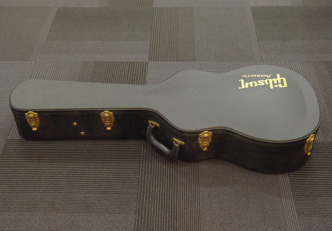 L-00 Case - Black, Recent