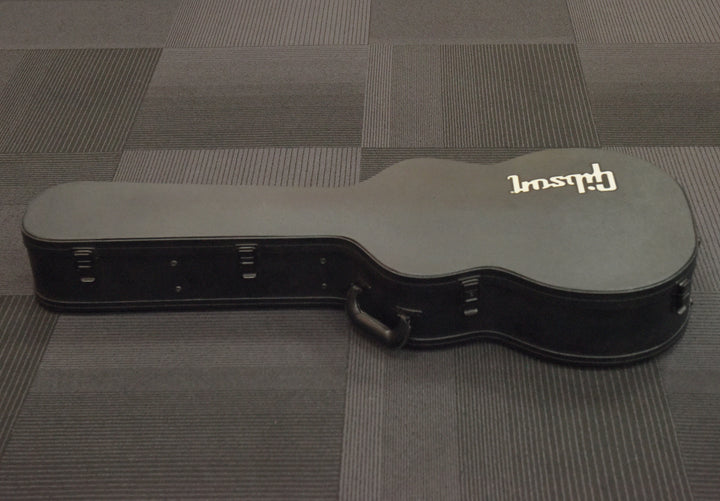 L-00/LG-2 Modern Case, Recent