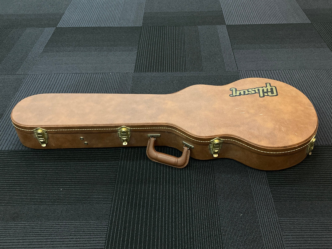 USA Les Paul Case, Recent