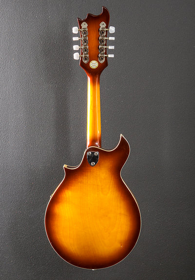 MAND-50 Mandolin, Mid 60's
