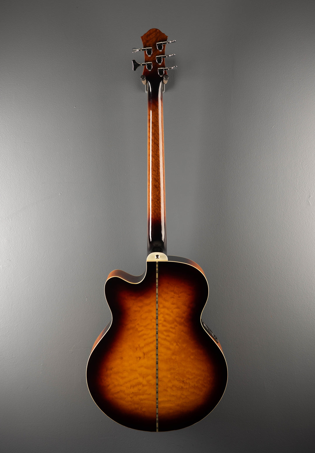 Dragonfly 5 String Acoustic Bass, Recent