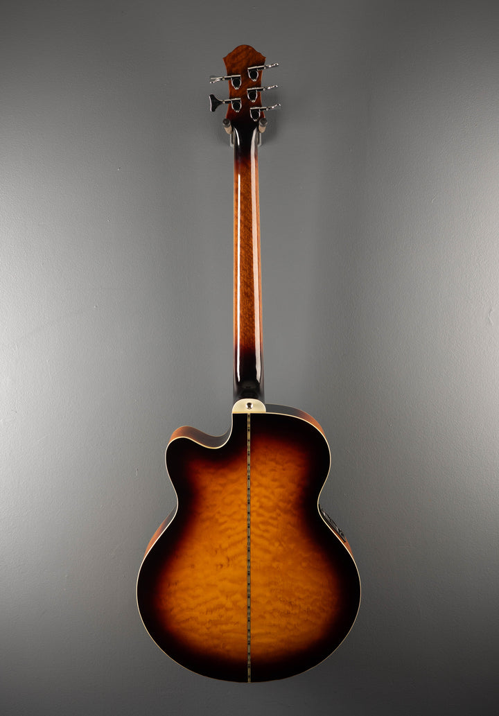 Dragonfly 5 String Acoustic Bass, Recent