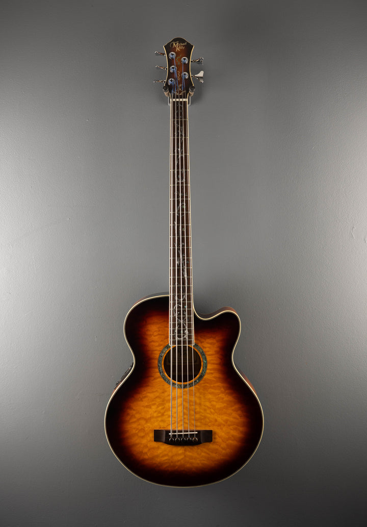 Dragonfly 5 String Acoustic Bass, Recent
