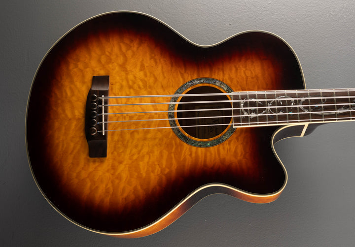 Dragonfly 5 String Acoustic Bass, Recent