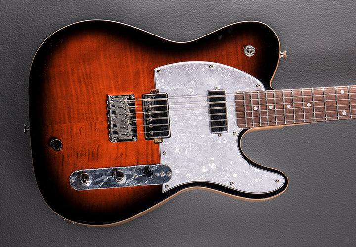 Hybrid 55 - Tigers Eye Burst