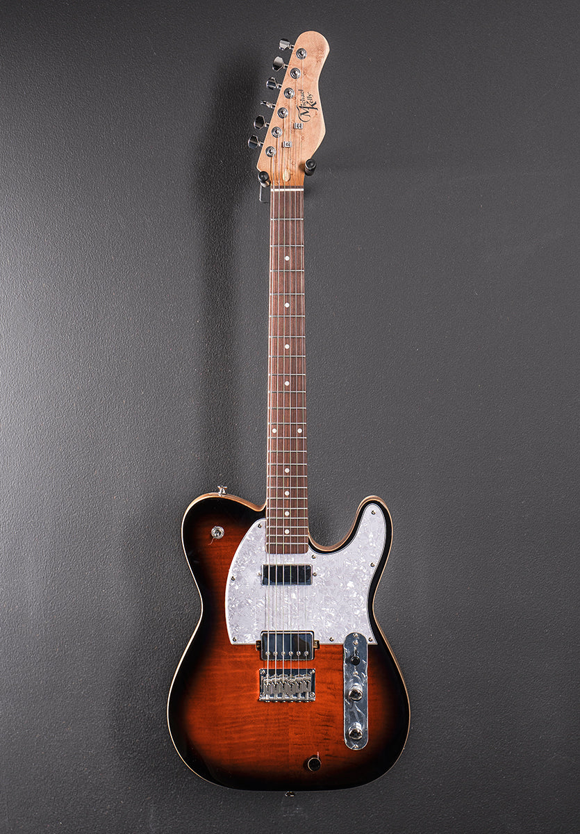 Hybrid 55 - Tigers Eye Burst
