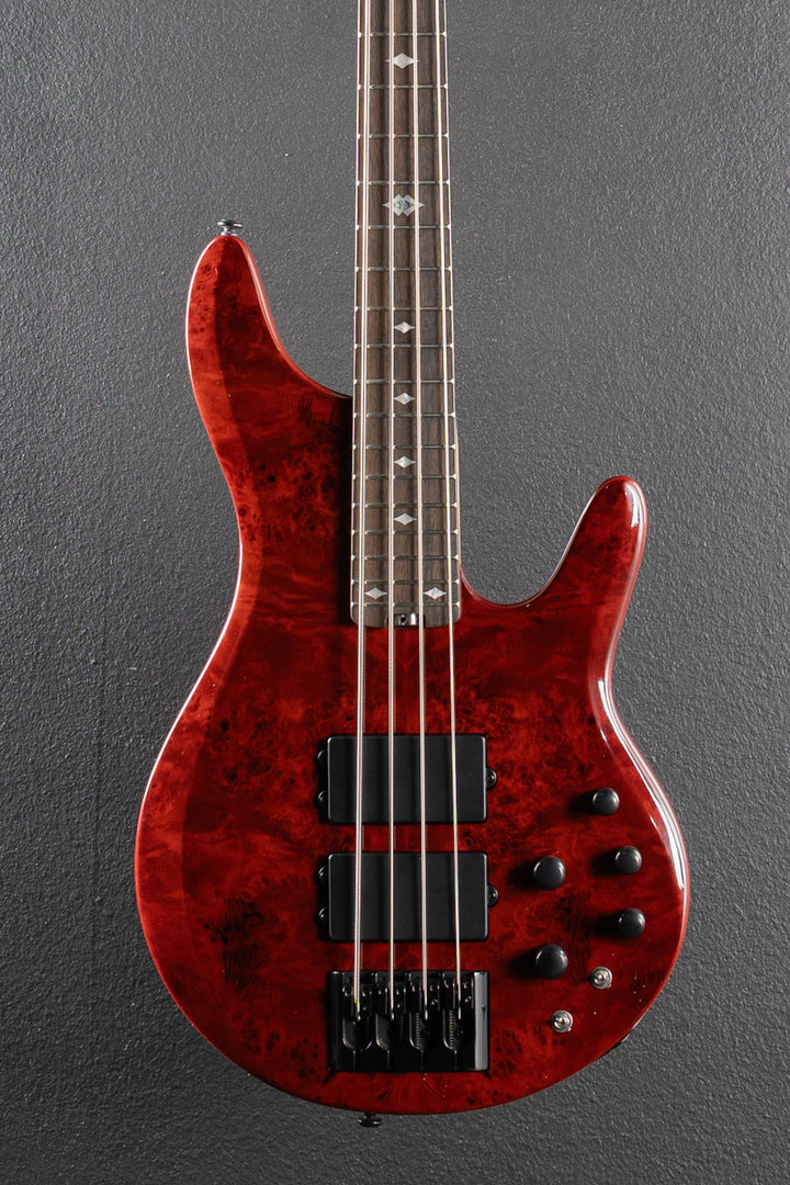 Pinnacle 4 Bass - Cherry