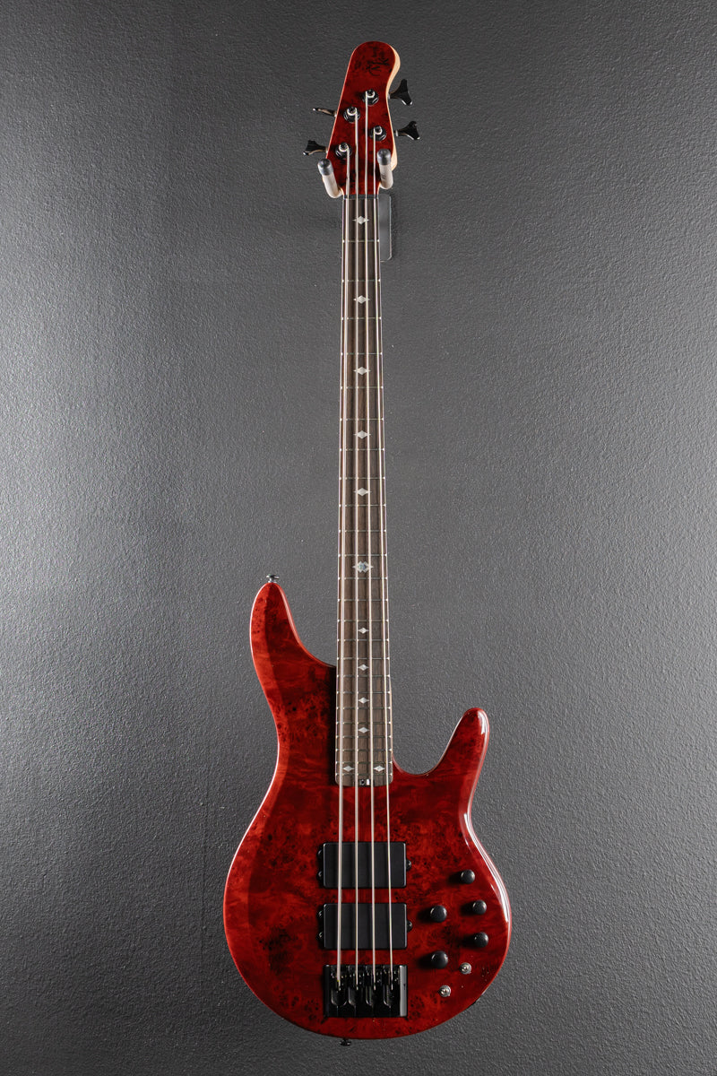 Pinnacle 4 Bass - Cherry