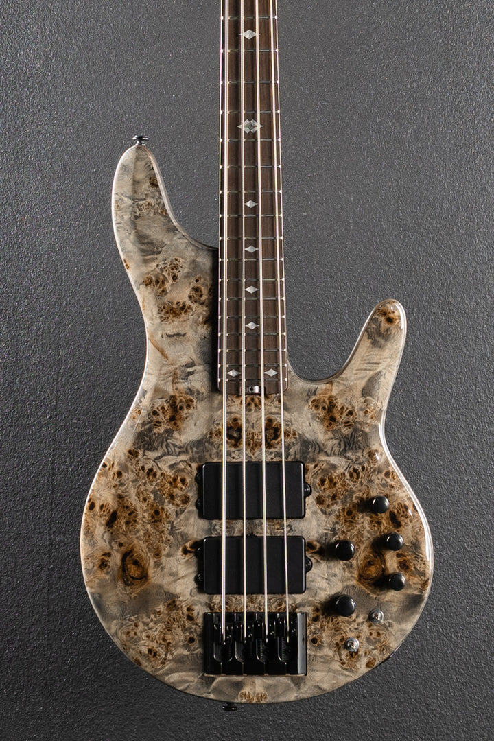 Pinnacle 4 Bass - Grey Burl