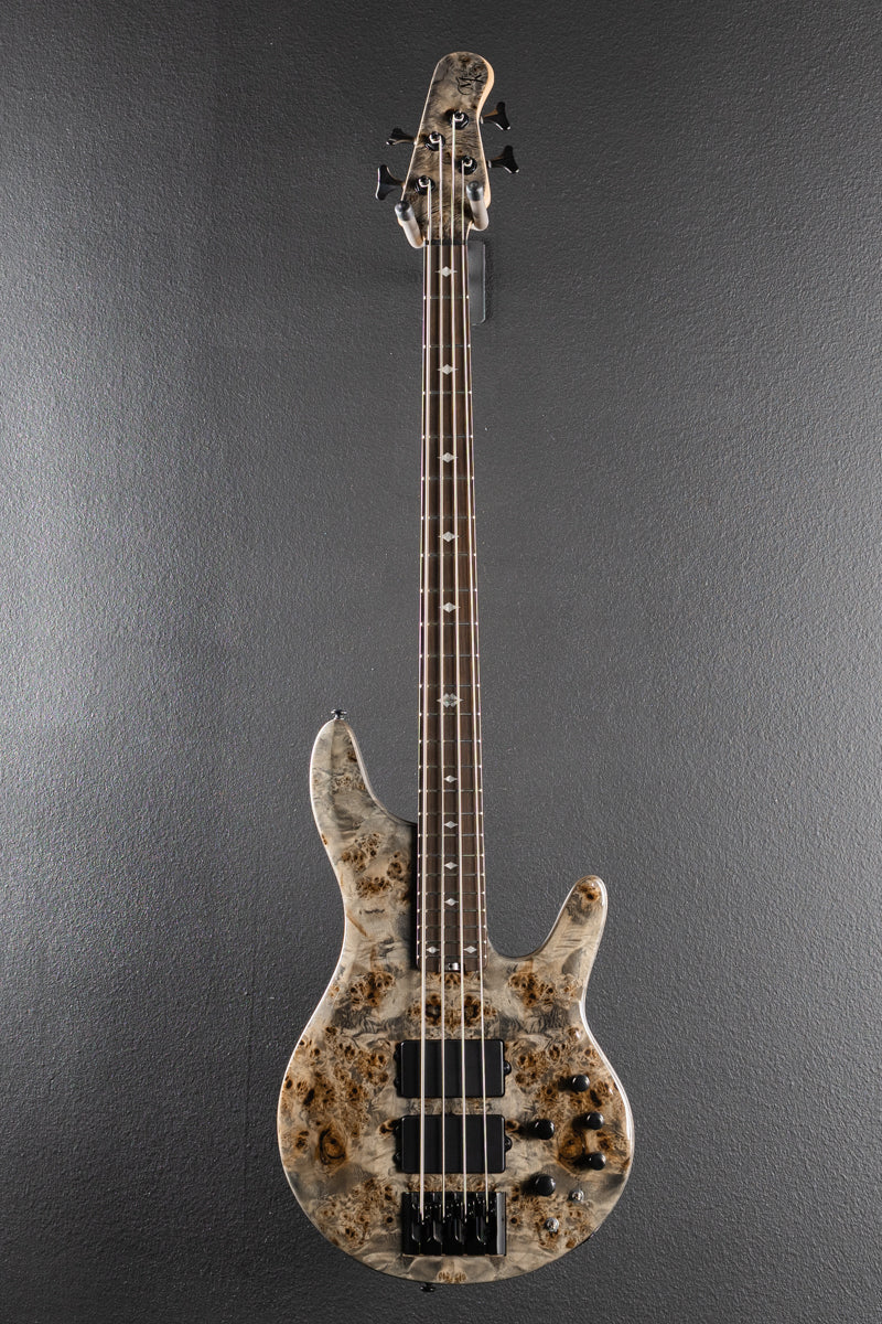 Pinnacle 4 Bass - Grey Burl