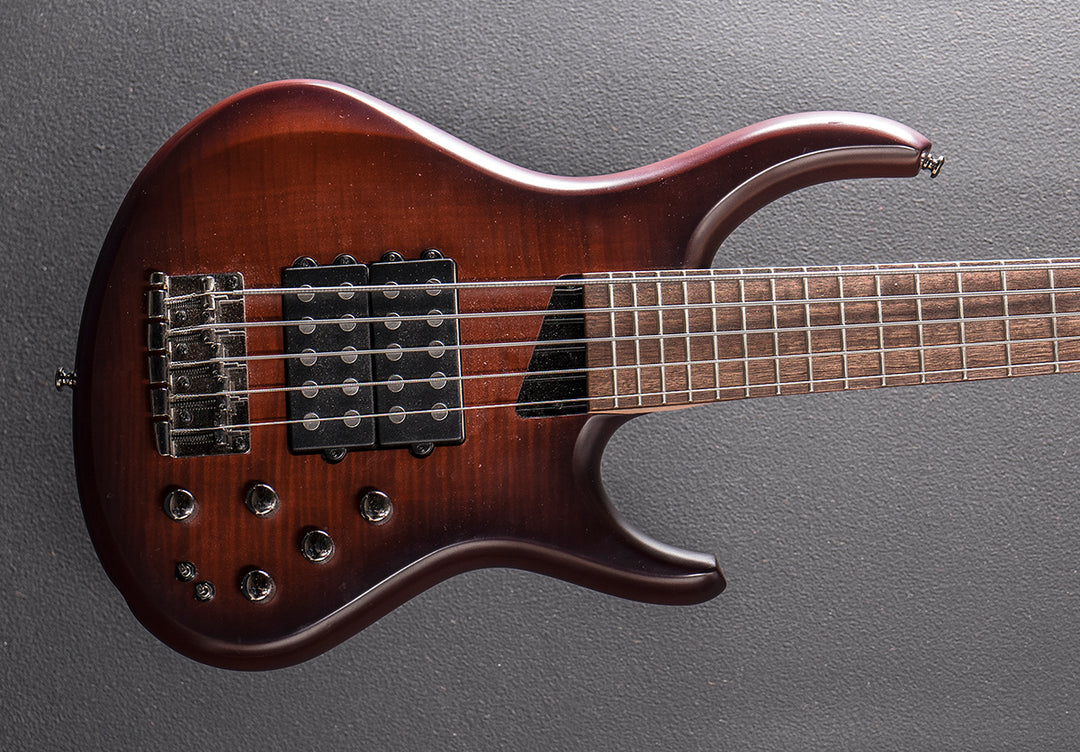 Kingston Super 5 5 String Bass &