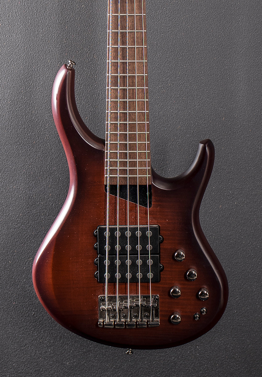 Kingston Super 5 5 String Bass &