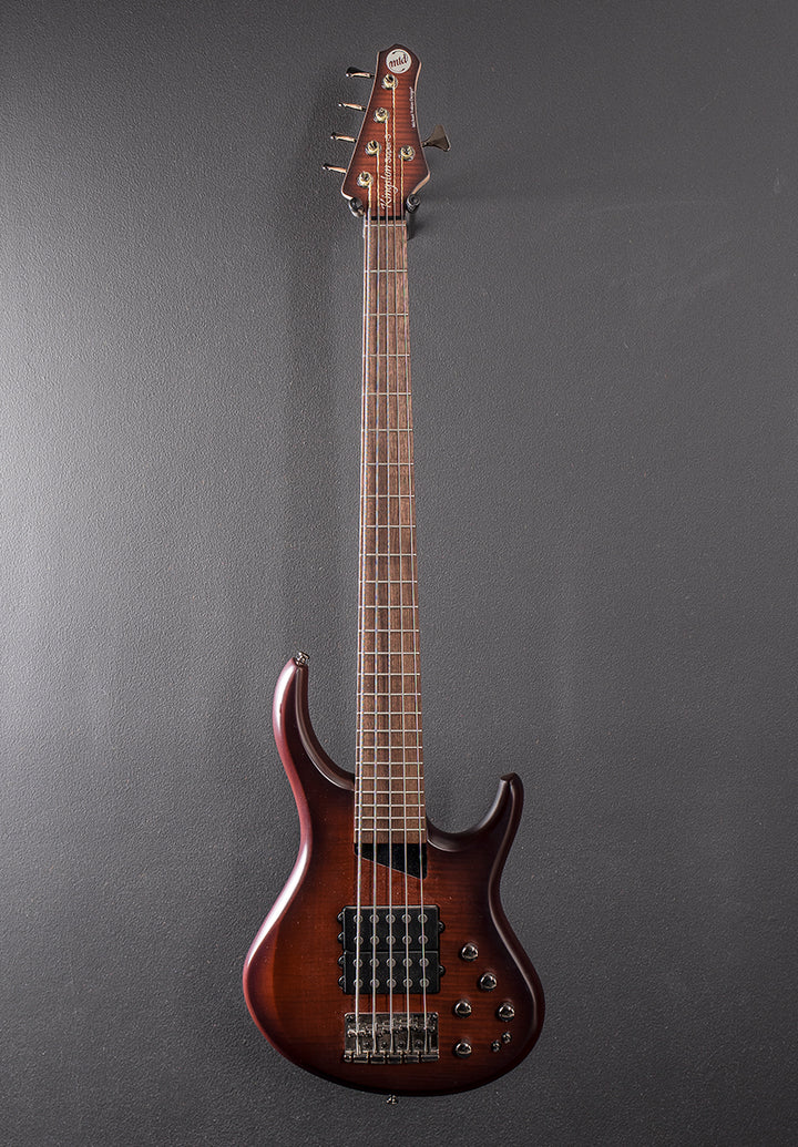 Kingston Super 5 5 String Bass &